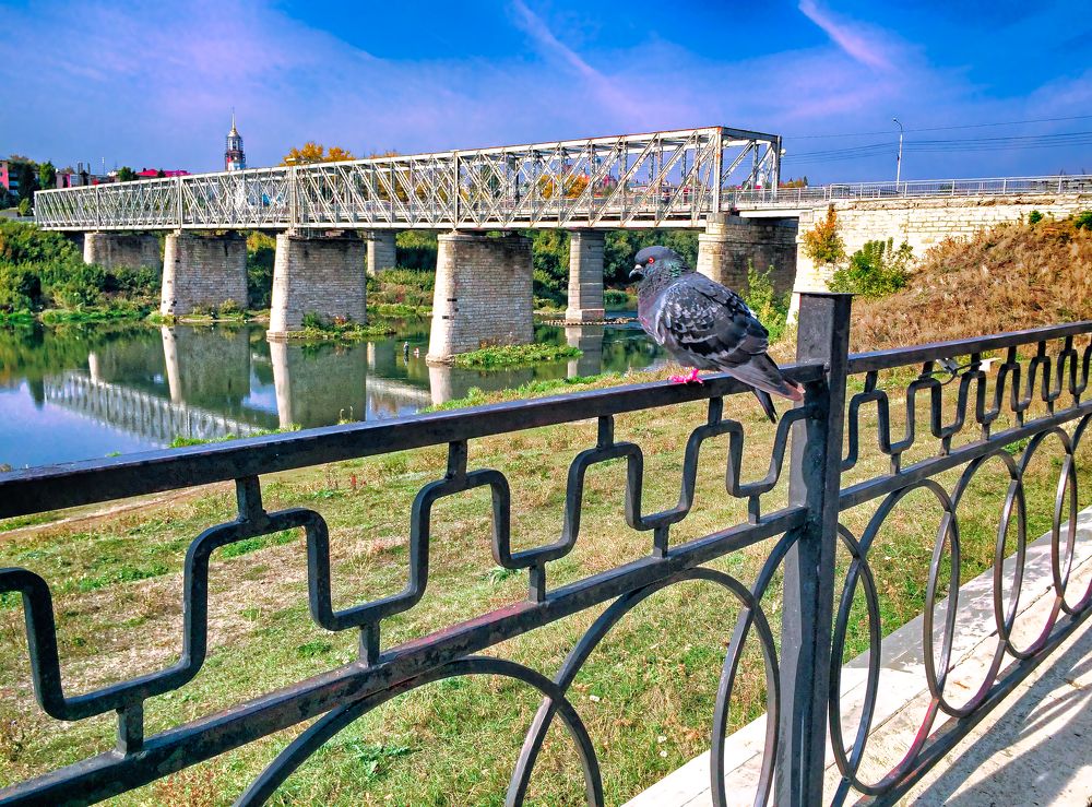 Photograph by Александр Малютин