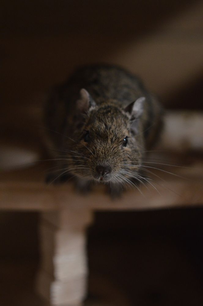 Photograph by Lizaveta Velichko