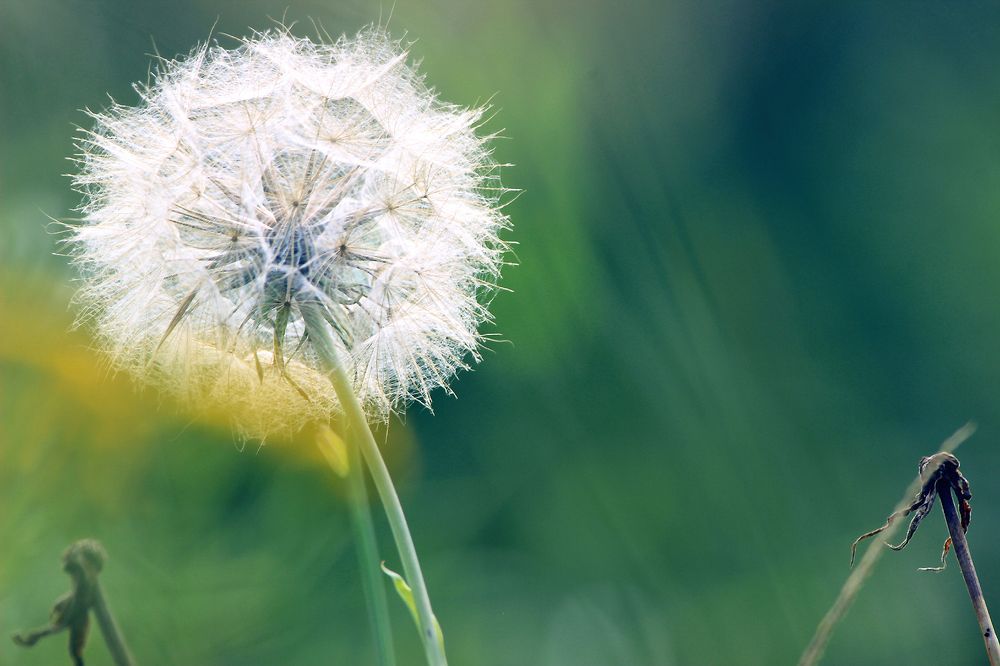 Photograph by Вячеслав Атаманов