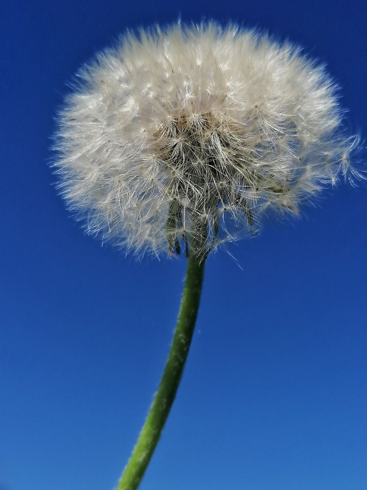 Photograph by Станислава Садыкова