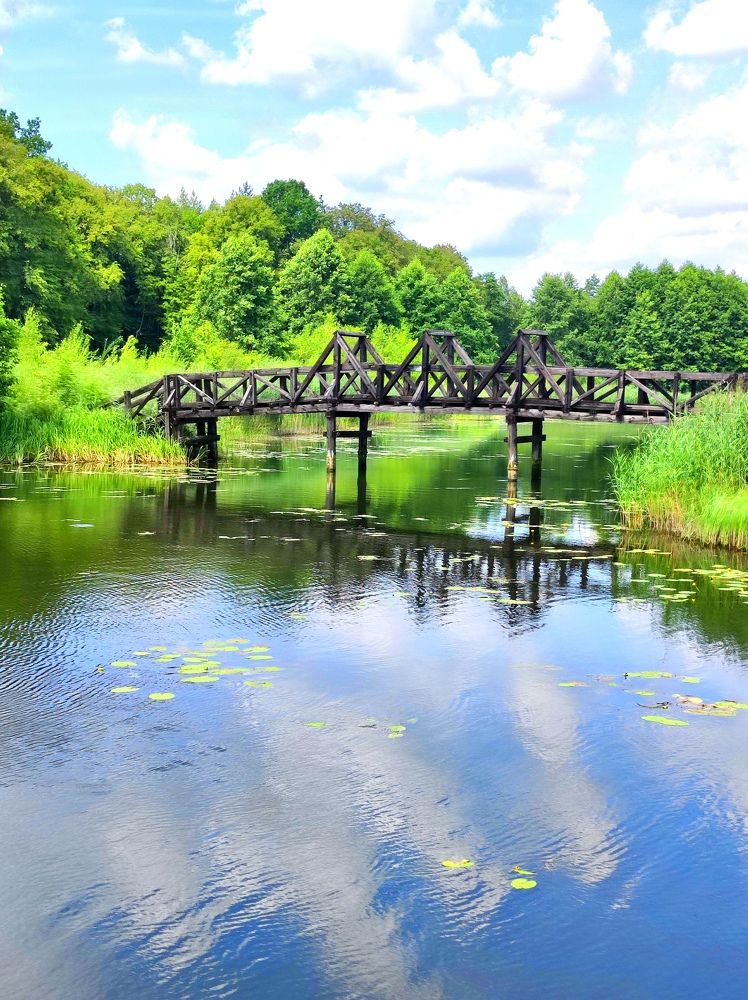 Фотография автора Elena