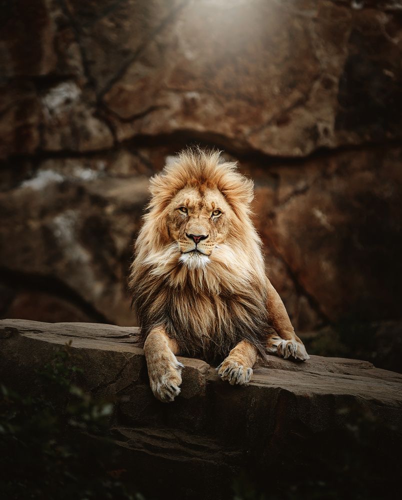 Photograph by Ali Chaer