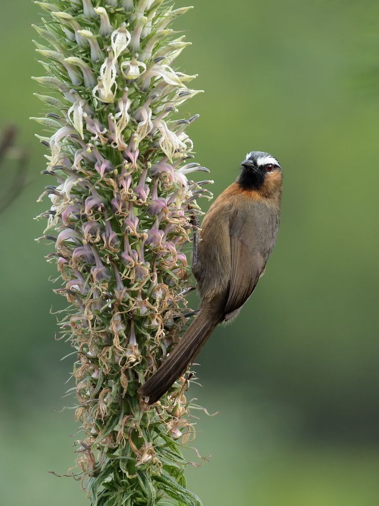 Фотография автора Chandra sekar