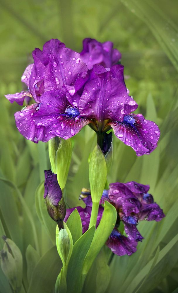 Photograph by Мишустина Татьяна