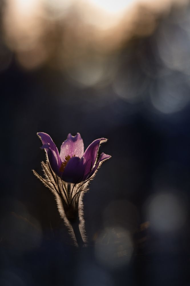 Photograph by Кузнецов Дмитрий