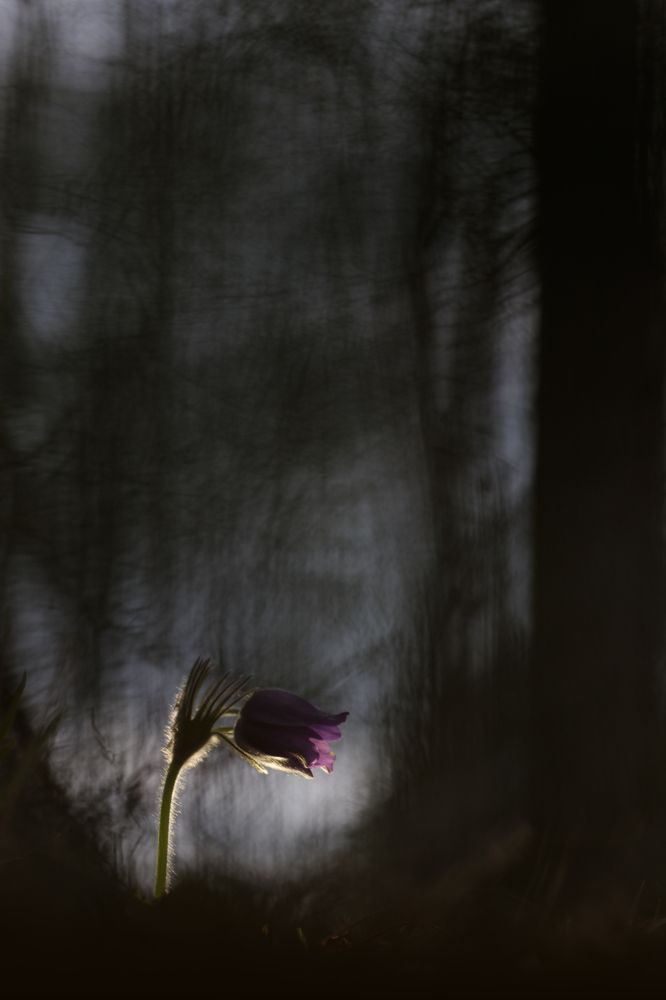 Photograph by Кузнецов Дмитрий