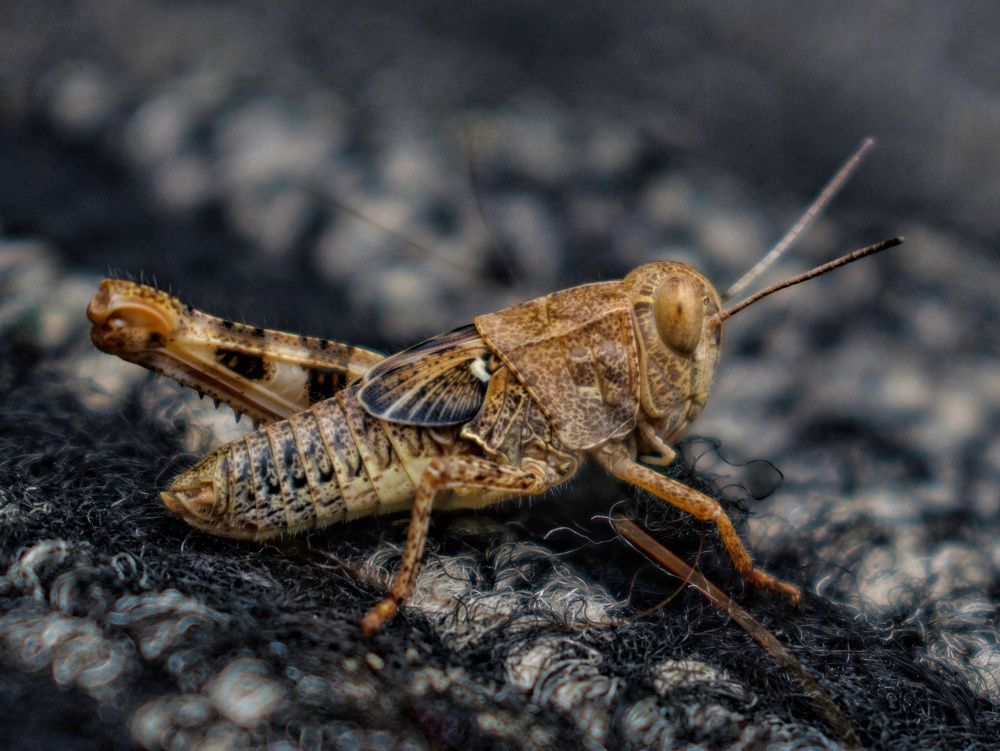 Photograph by zahra salardini