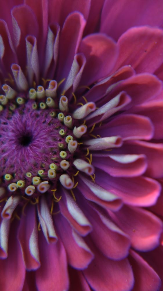 Photograph by Яна Истоцкая