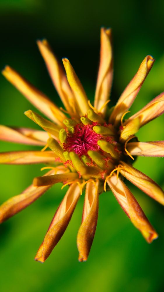 Photograph by Яна Истоцкая