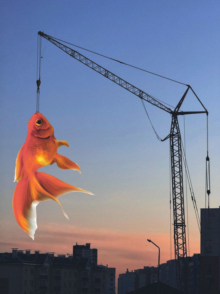 Фотография автора Елена Поживилко