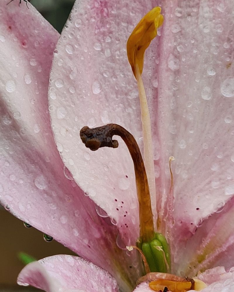 Photograph by Татьяна Соколовская