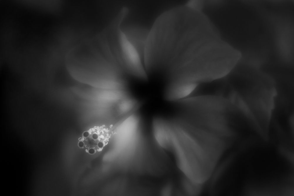 Фотография автора Алексей Карташов