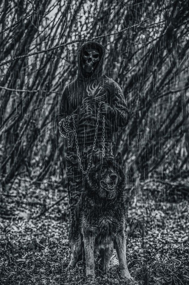 Photograph by Владимир Баженов