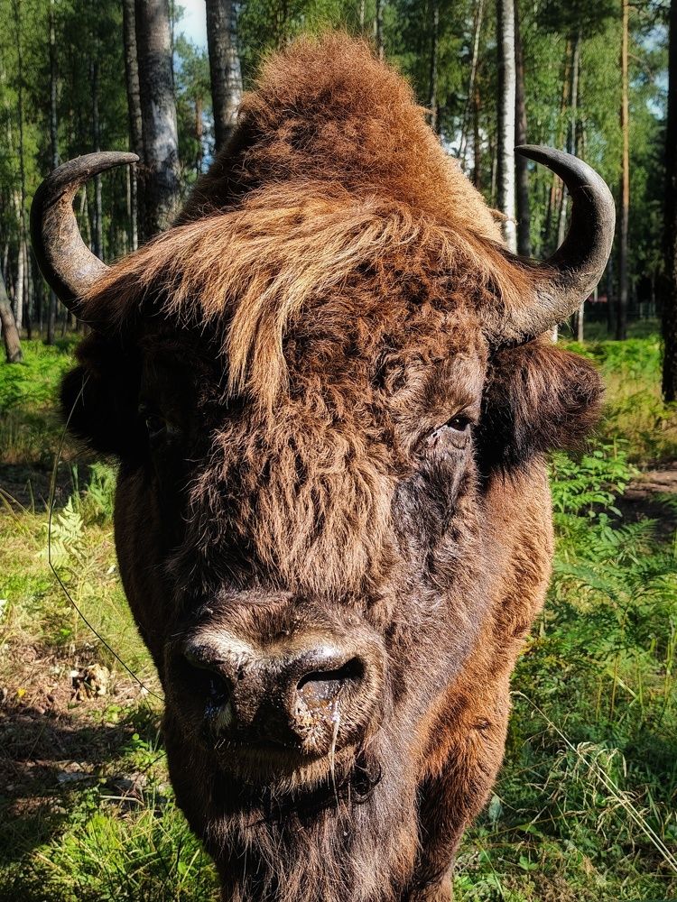 Photograph by Татьяна Соколовская