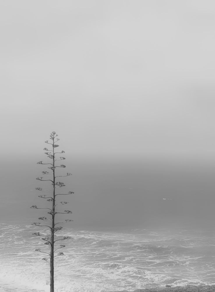 Photo #10911047