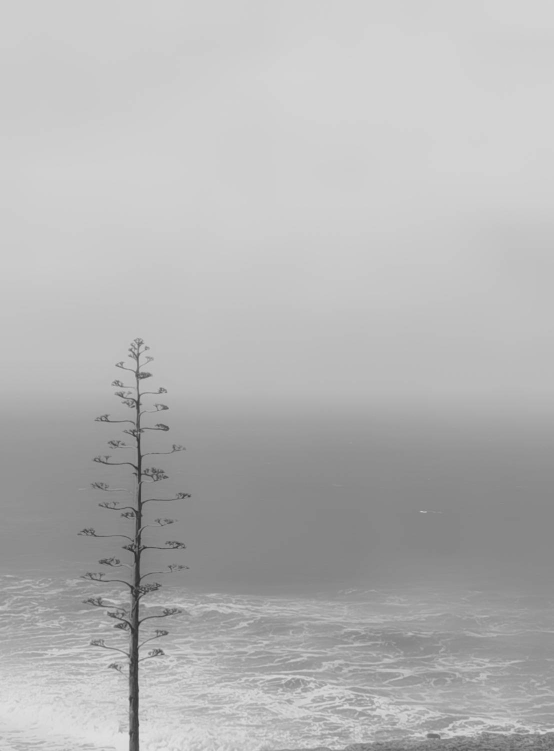 Photo #10911047