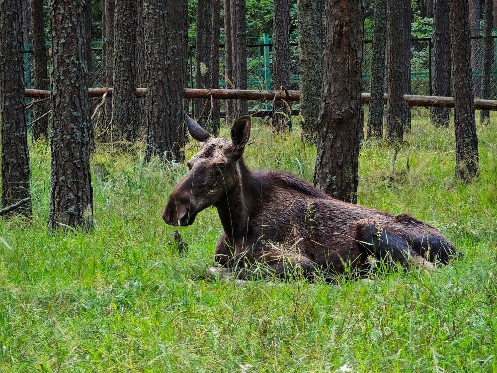 Photograph by Татьяна Соколовская