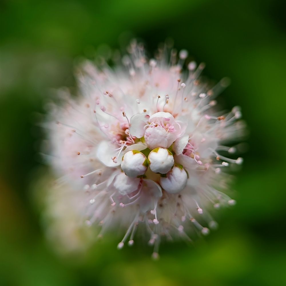 Photograph by Ольга Метлицкая