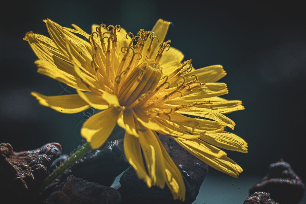 Фотография автора Владимир Кириллов