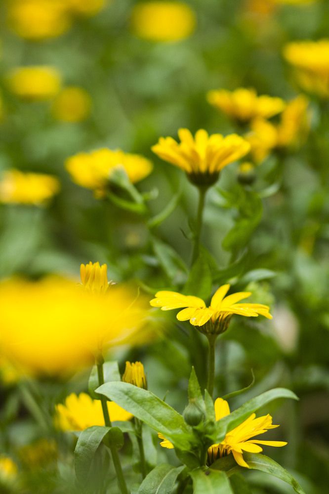 Photograph by Майя Чехова