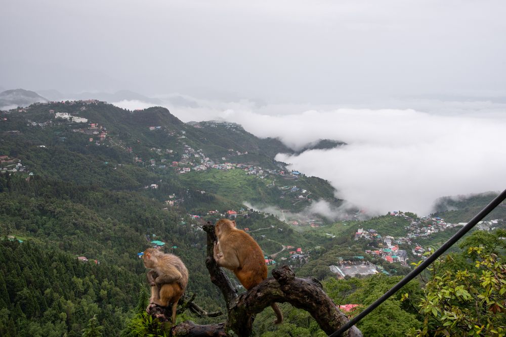 Photograph by Ajayan Kavungal Anat