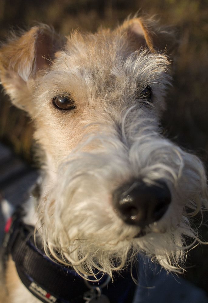 Photograph by Майя Чехова