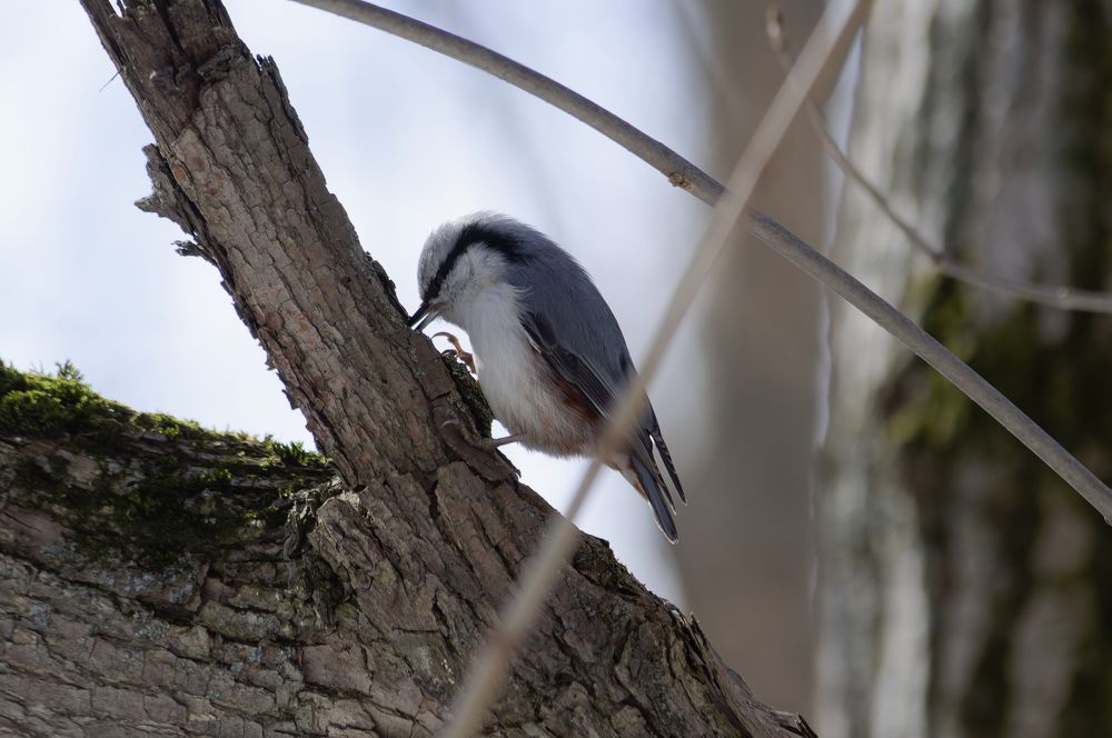 Photograph by Егор Кочергин