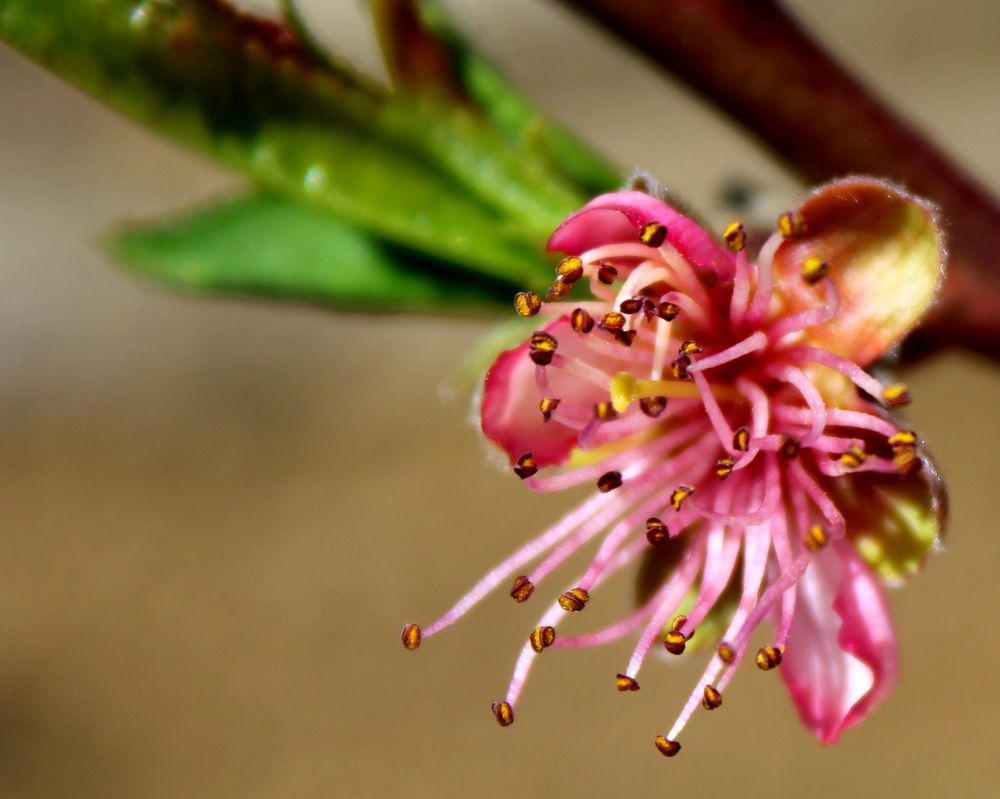 Photograph by Николай Немчанинов