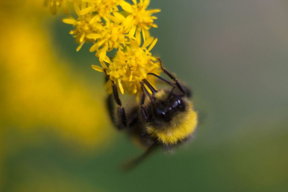 Photograph by Yroslava Veretina