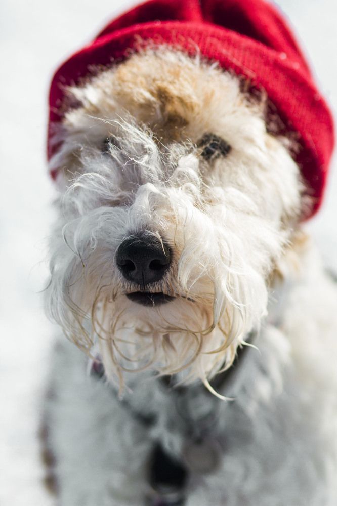 Photograph by Майя Чехова