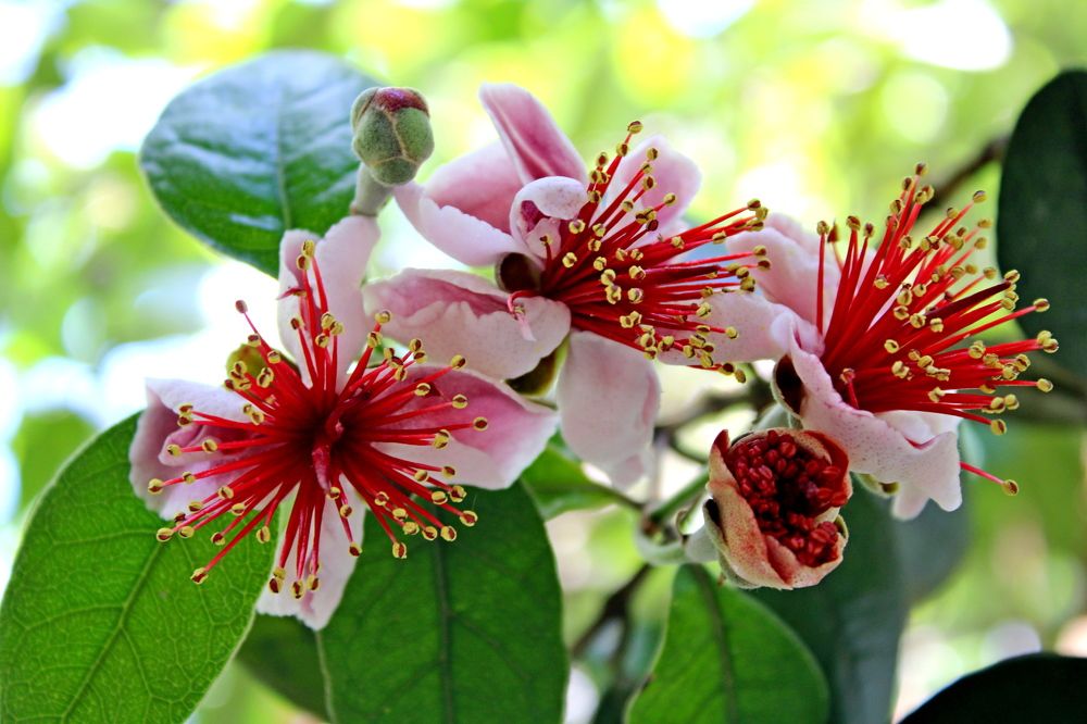 Photograph by Николай Немчанинов