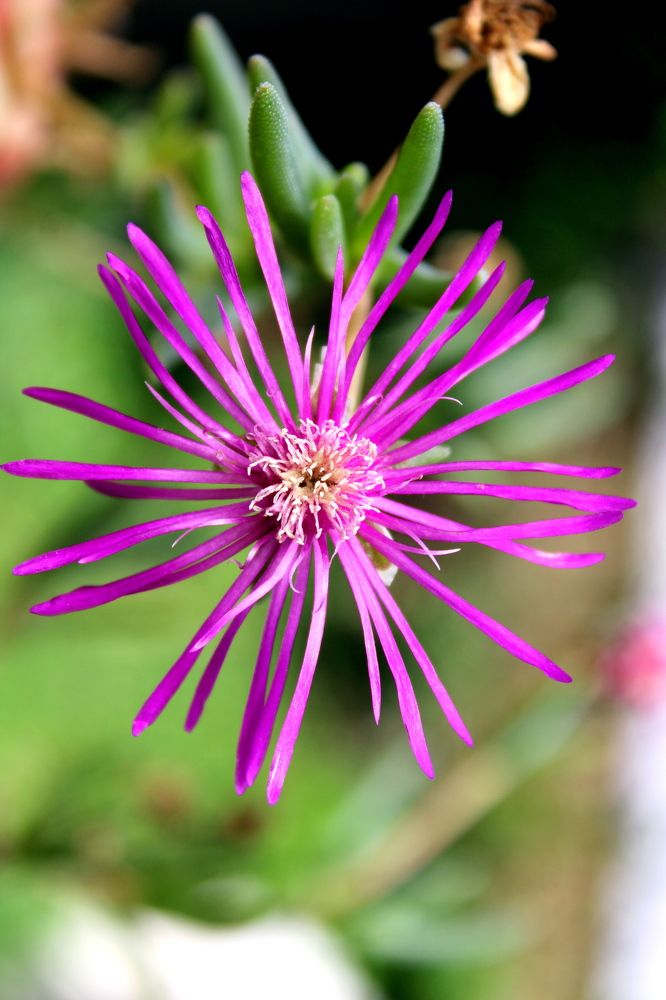 Photograph by Николай Немчанинов