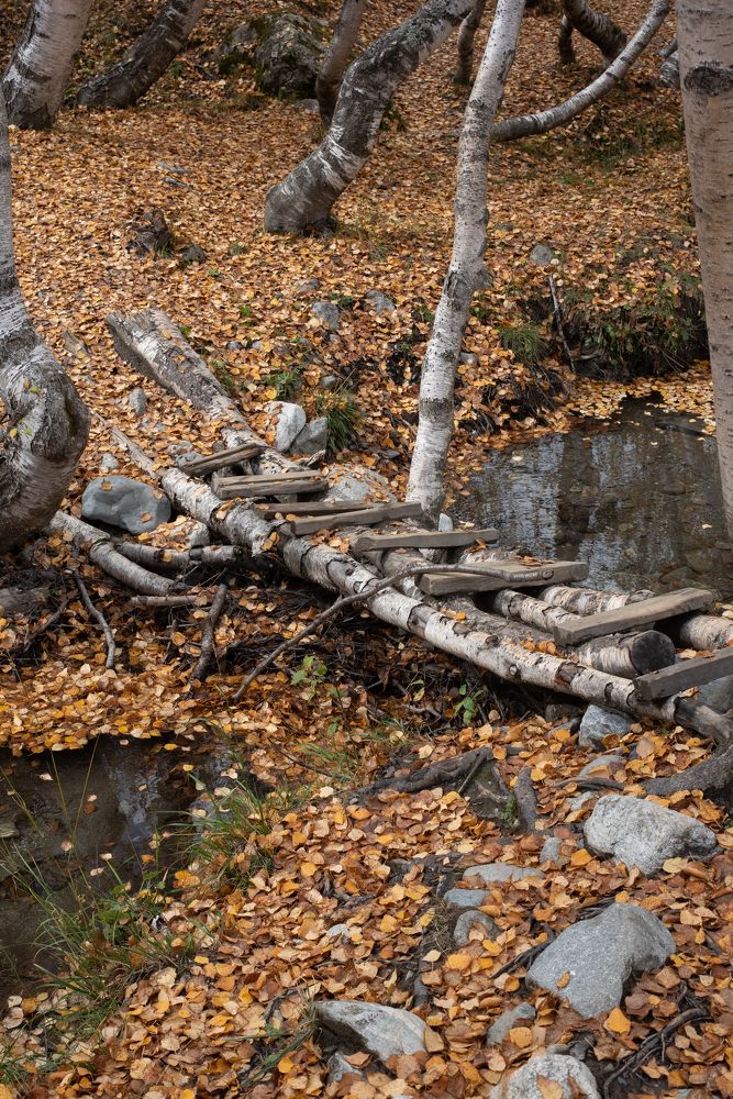 Photograph by Оксана Смирнова