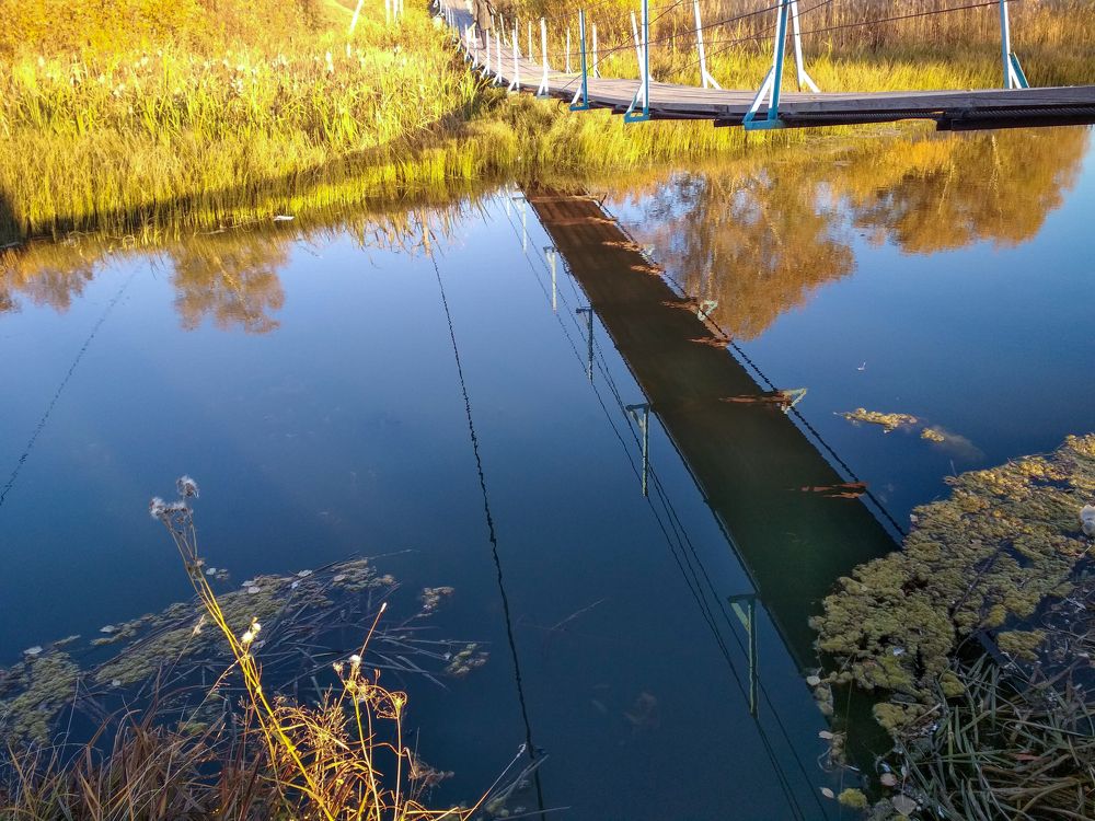 Photograph by Ирина Немкина