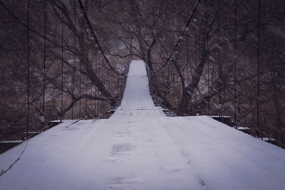 Photograph by Елена Щитова