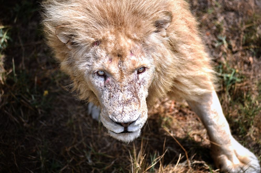 Photograph by Валерия