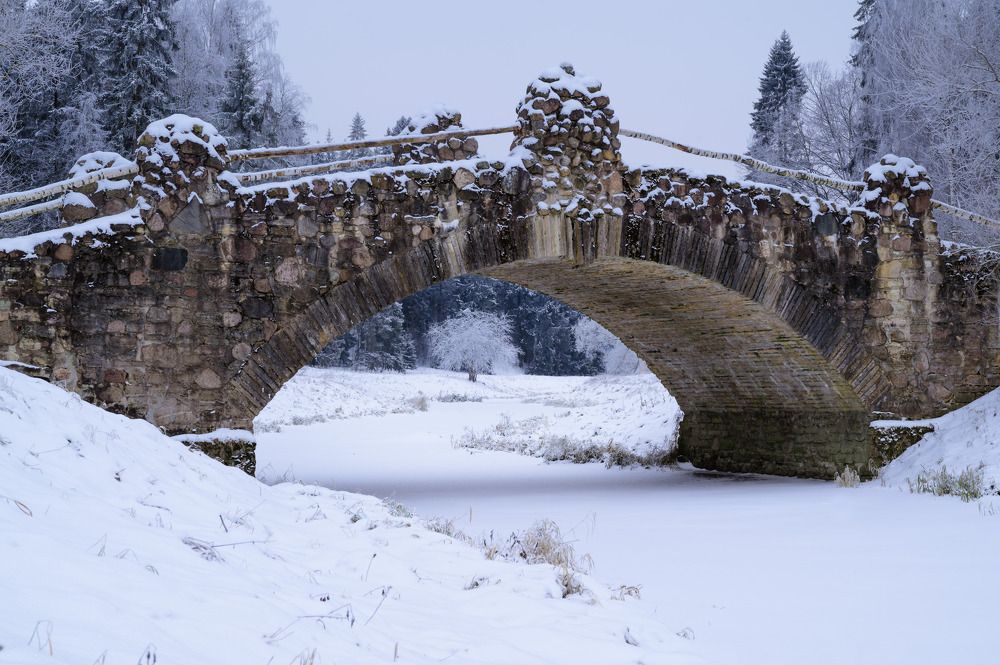 Photograph by Бабурин Олег