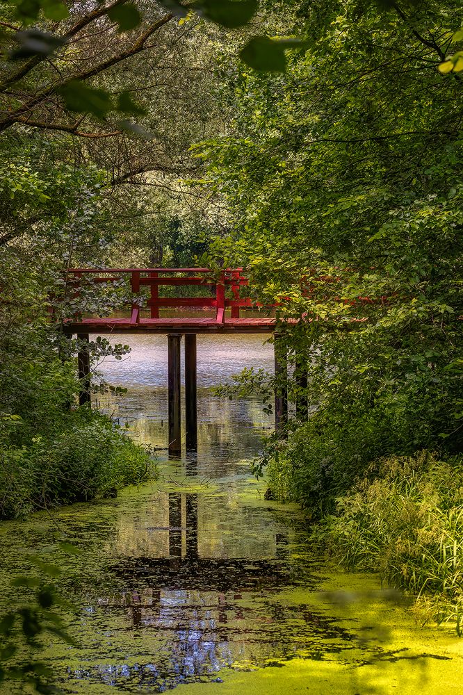 Photograph by Michel