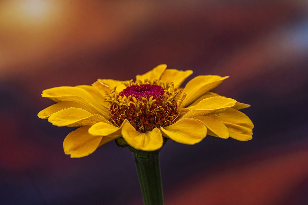 Photograph by Сергей Белов