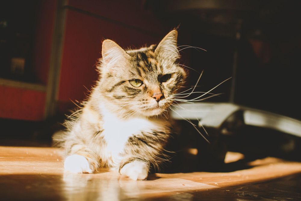 Photograph by Ванда