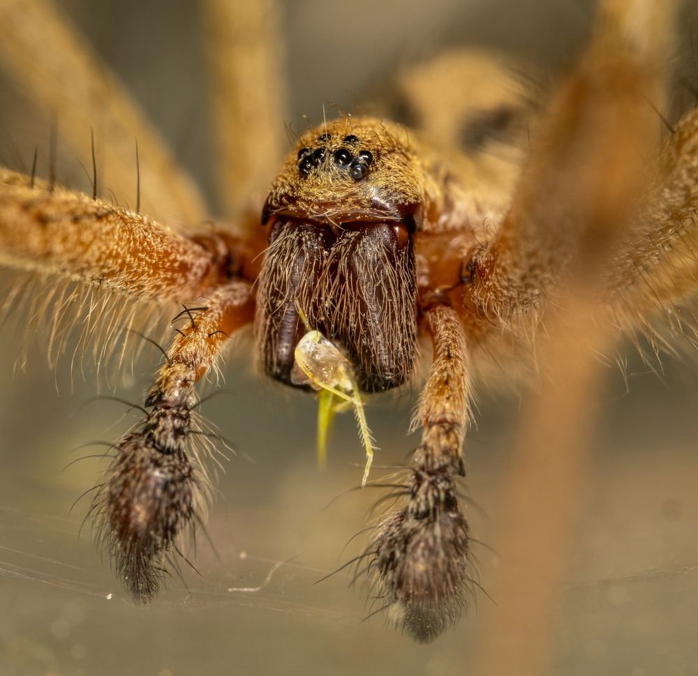 Фотография автора Sercan Özyurt
