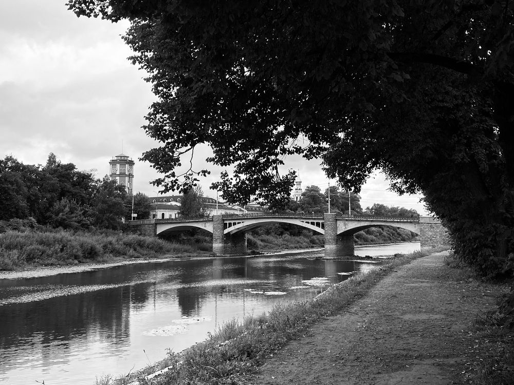 Фотография автора Анна Могилева