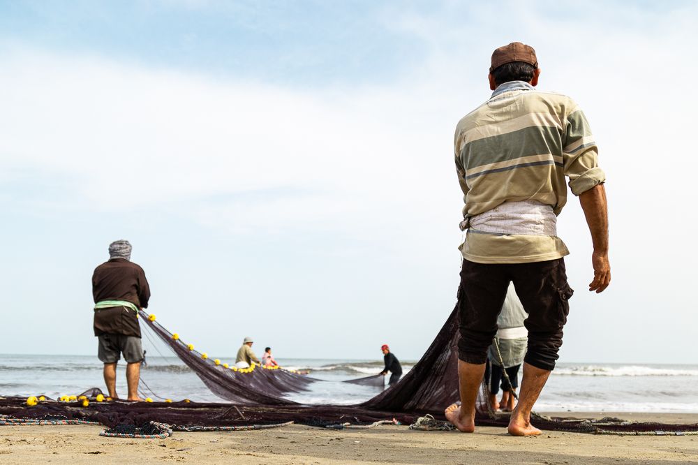 Photograph by Alaa Nour