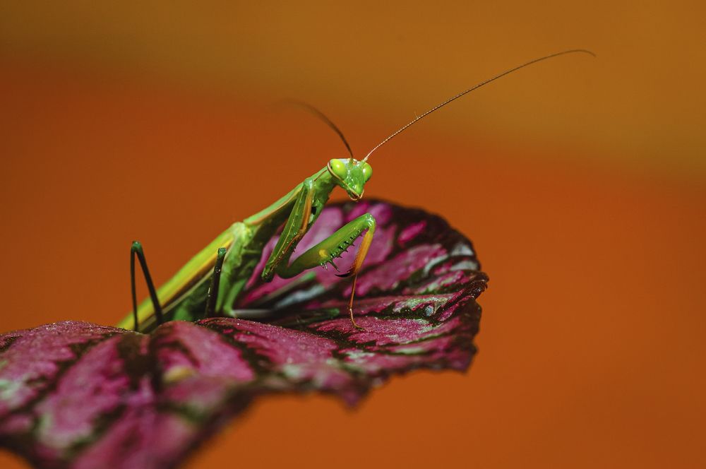 Фотография автора Юрий