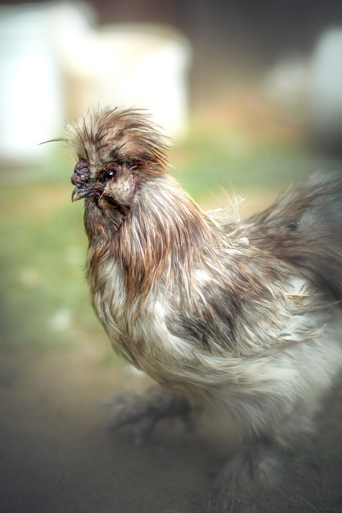 Photograph by Александр Соловьев