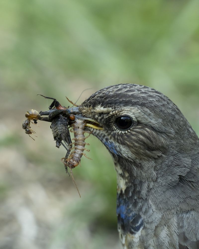 Фотография автора Сергей Затямин