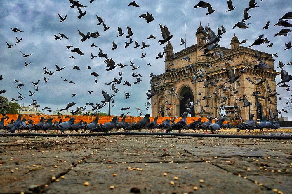 Gateway of India
