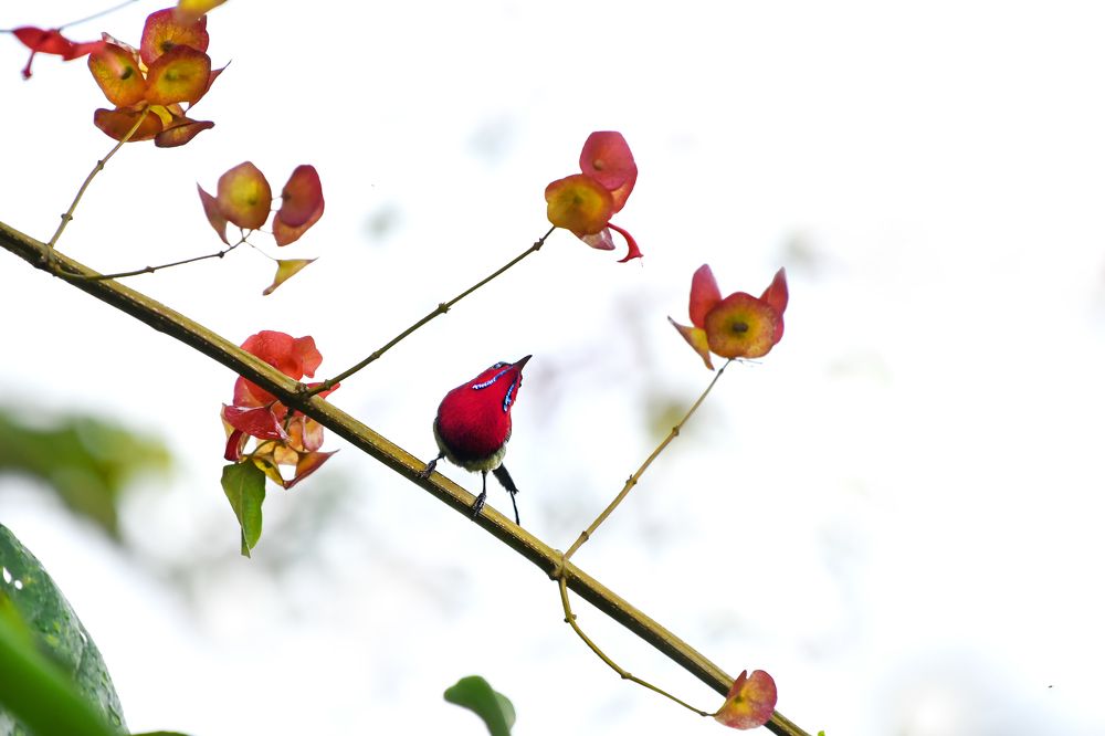 Photograph by Partha Chakraborty