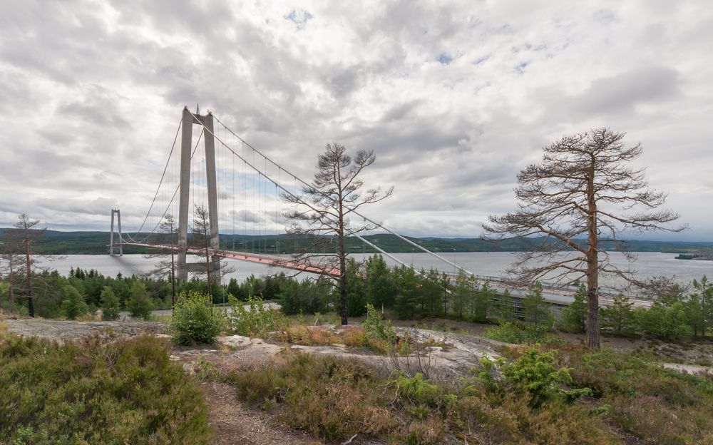 Photograph by Гребенников Сергей