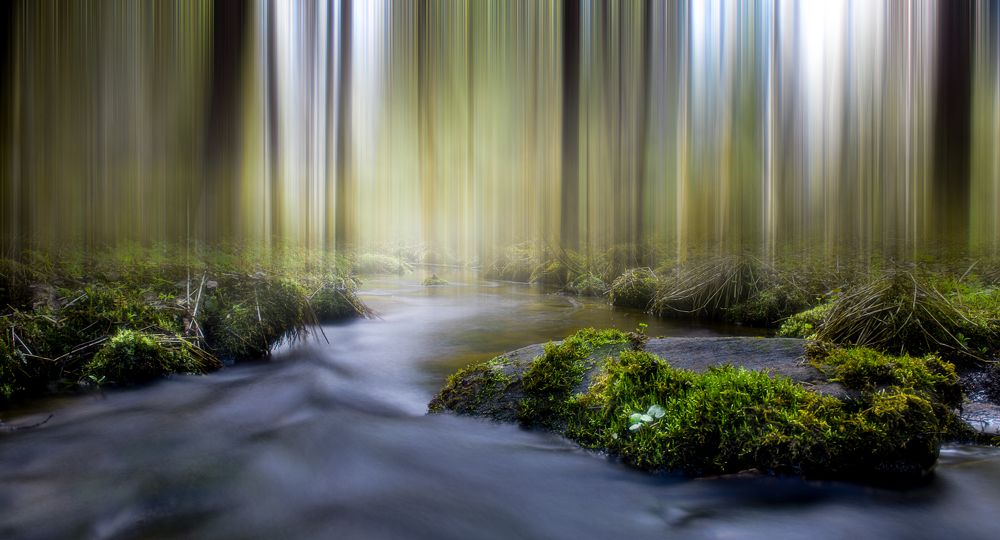 Фотография автора Михаил Кабанов